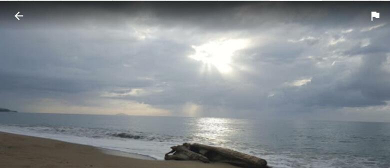 Casa Peace Haven Beach House