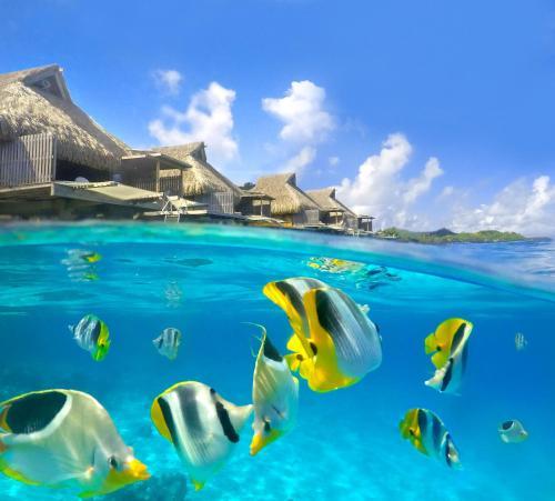 Hotel Conrad Bora Bora Nui