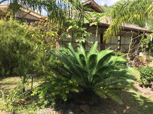Hostal Taoahere Beach House