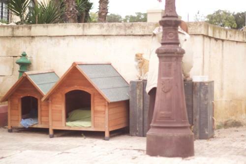 Apartamento 8vilhena