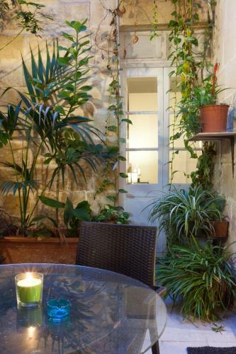Your Apartment