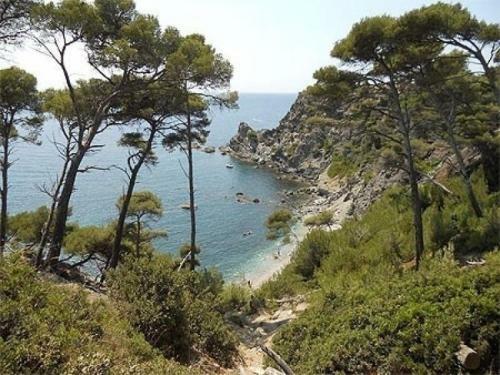 Apartment Jardin Azur