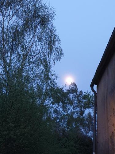 Hostal Ty Flour Di Lys