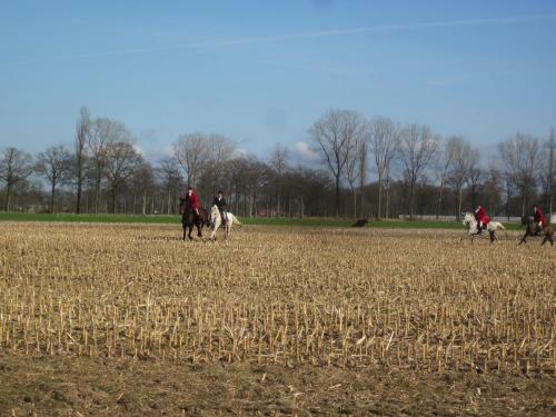 B&B 't Verloren Schaap