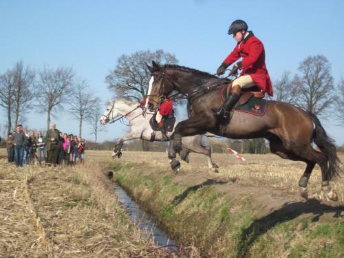 B&B 't Verloren Schaap