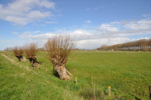 B&B 't Verloren Schaap