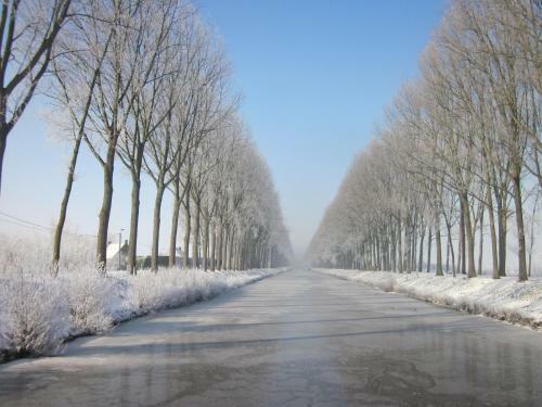 B&B 't Verloren Schaap