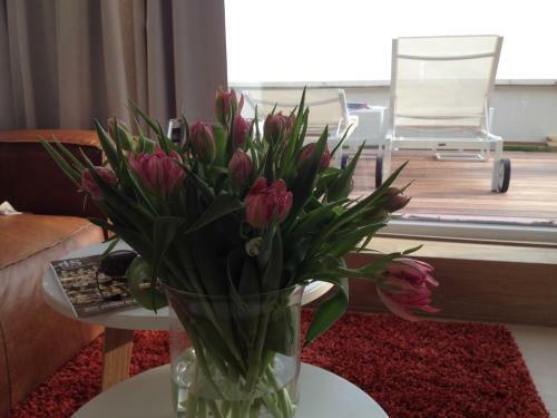 Apartamento Penthouse William