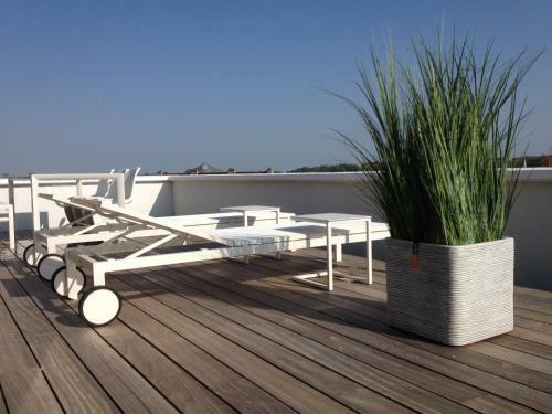 Apartamento Penthouse William