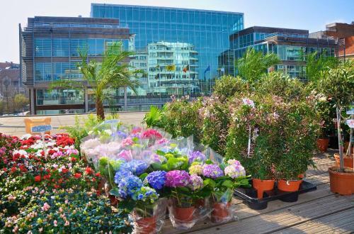 Apartamento Residentie Sofia, Coxy-beach, Iepenwal