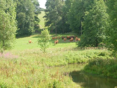 Lovely Holiday Home In Chimay With Terrace