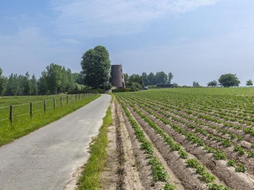 Luxurious Holiday Home In Oombergen With Private Terrace