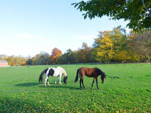 Spacious Holiday Home With Private Garden In Houyet