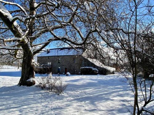 Spacious Holiday Home In Vaux-sur-sure With Garden