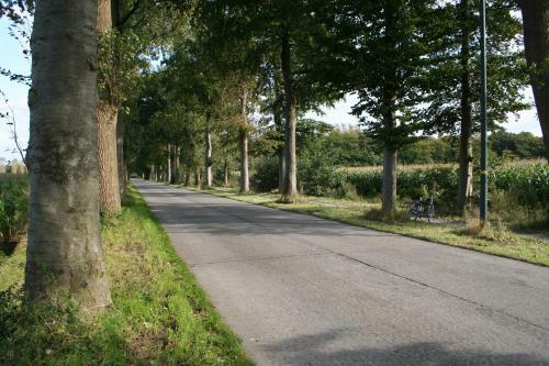 B&B De Meetjes