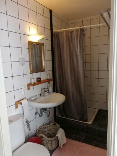 Hostal Johan's Lodge