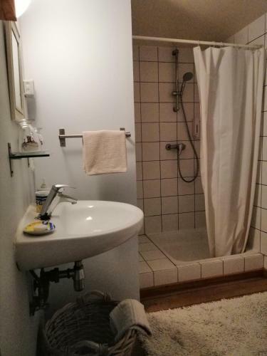 Hostal Johan's Lodge
