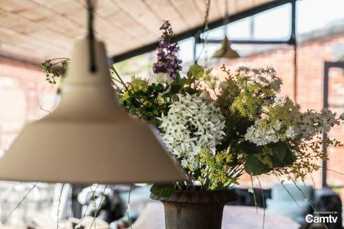 Bed & Breakfast Biga Hoeve