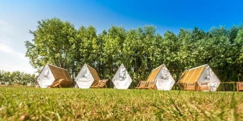 Nomad Knokke