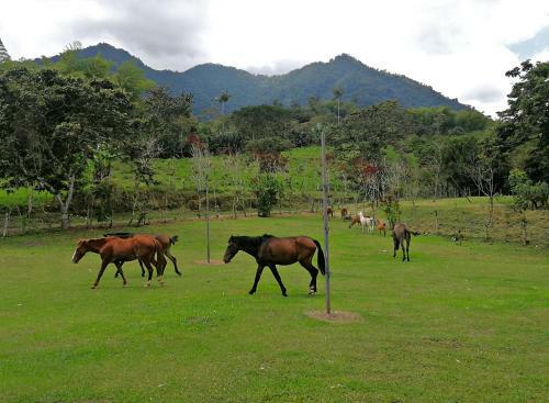 Agroturismo Reserva-hacienda Cachillacta