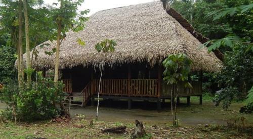 Posada Dolphin Lodge Napo River