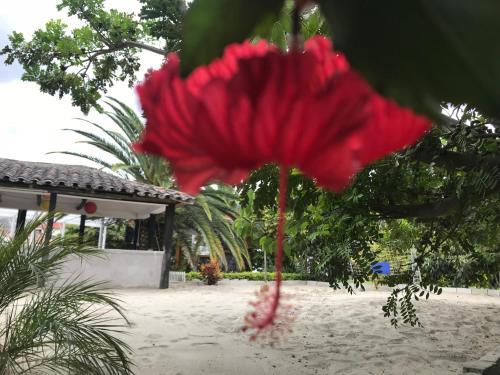 Villa Vacacional Ambuqui