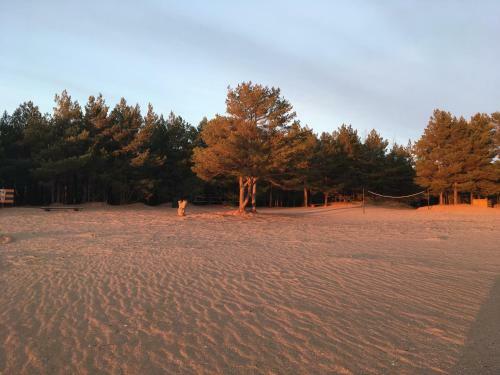 M�ndjala Camping