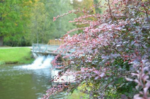Oxforell Holiday Centre