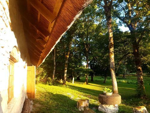 Lodge Paali Cottages