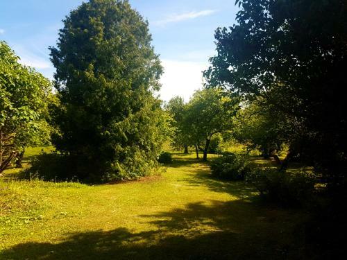 Lodge Paali Cottages