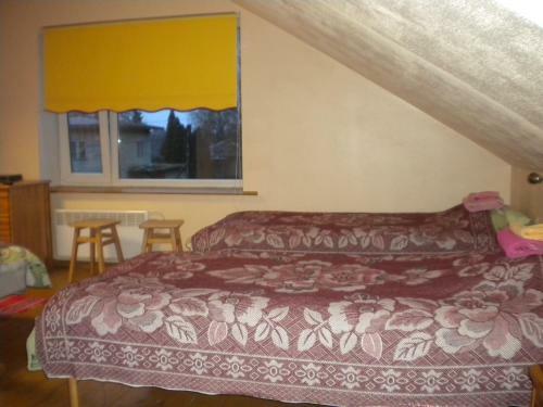 Hostal Madise Guesthouse