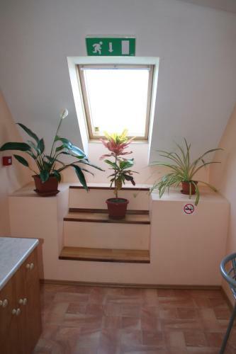 Hostal Old Town Hostel