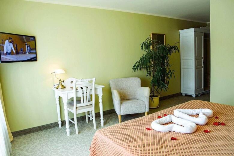 Hotel Metsis