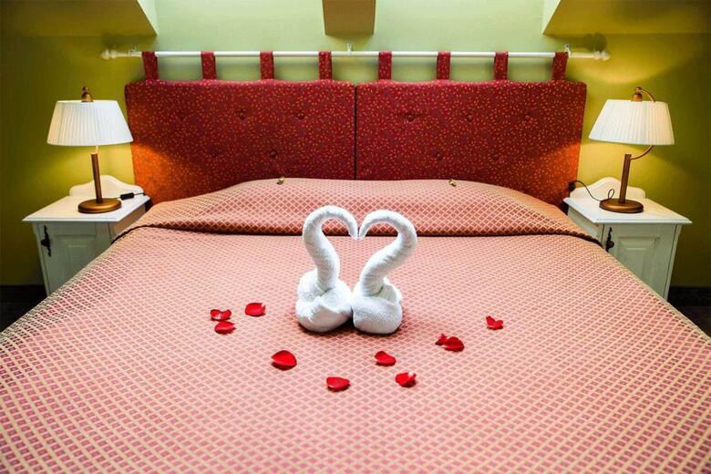 Hotel Metsis