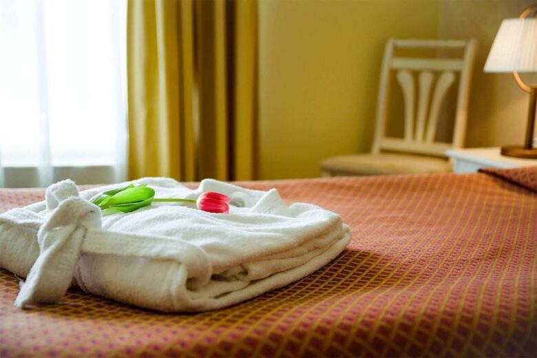 Hotel Metsis