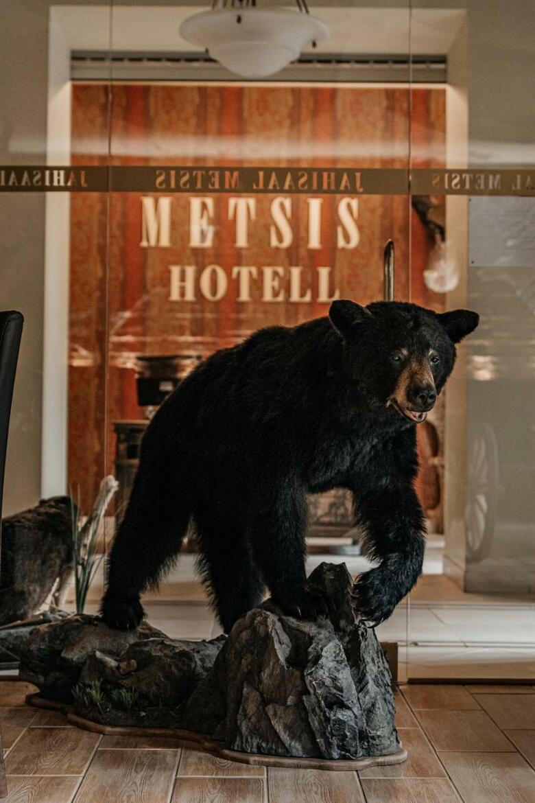 Hotel Metsis