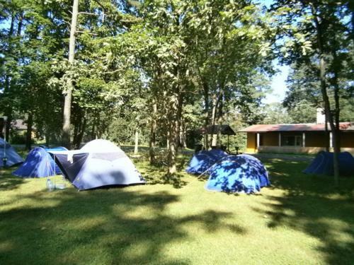 Albergue White House