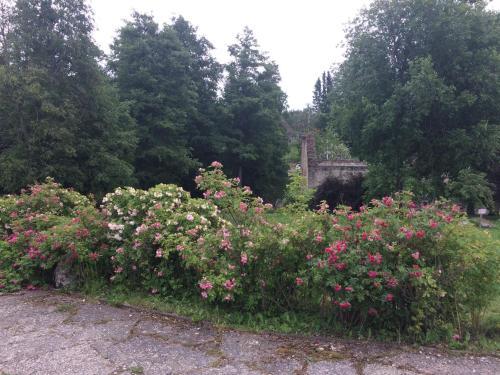 Apartamento Oandu Watermill Guestroom
