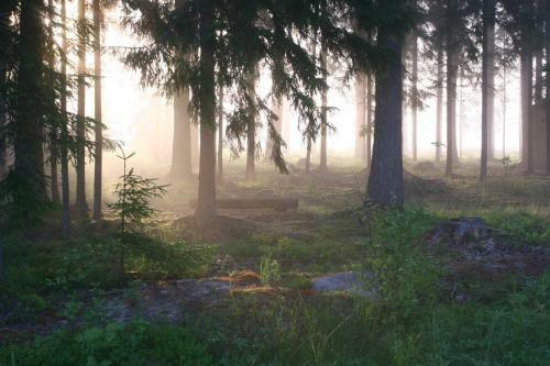 Haudam�e Holiday Home