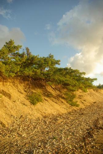 Apartamento Tehumardi Laguun