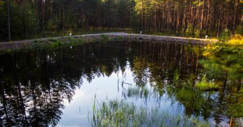 Pullij�rve Holiday Park