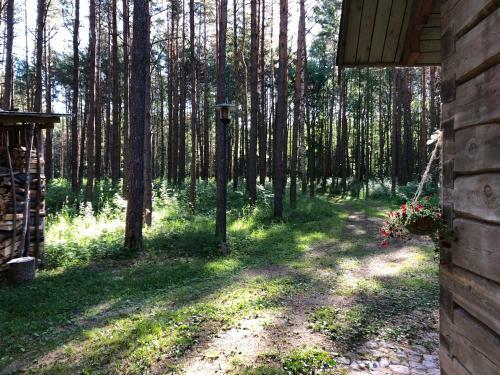 M�ndjala Forest House