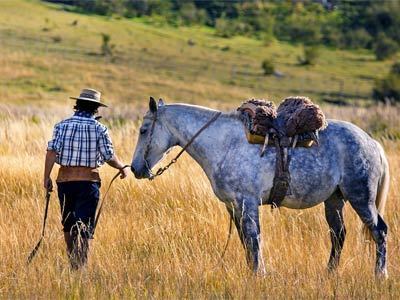 Hostal Estancia Nibepo Aike