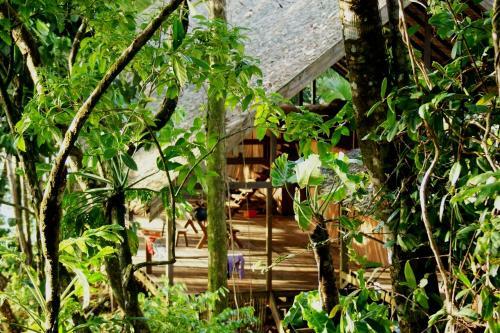 Hostal Punta Brava