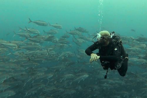Hostal Punta Brava