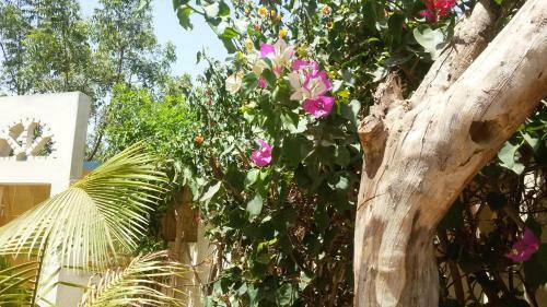 Apartamento Keur Flamant