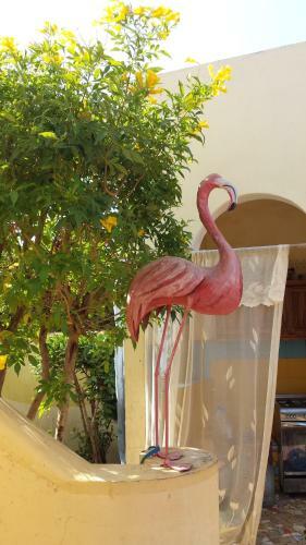 Apartamento Keur Flamant