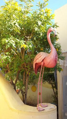 Apartamento Keur Flamant