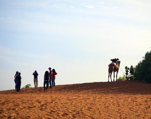 Camp Du D�sert ? Esprit D?afrique