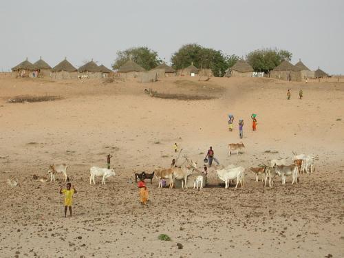 Camp Du D�sert ? Esprit D?afrique